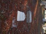 image of grave number 760032